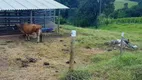 Foto 4 de Chácara com 4 Quartos à venda, 600m² em Zona Rural, Abadia de Goiás