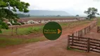 Foto 9 de Fazenda/Sítio à venda, 40950m² em Zona Rural, Goiatins