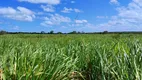 Foto 13 de Fazenda/Sítio com 3 Quartos à venda, 90000m² em Centro, Vera Cruz