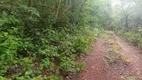 Foto 9 de Fazenda/Sítio à venda, 160000m² em Zona Rural, Colinas do Sul