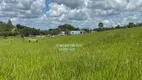 Foto 22 de Fazenda/Sítio com 3 Quartos à venda, 48400m² em Zona Rural, Abadiânia