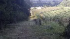 Foto 7 de Fazenda/Sítio com 3 Quartos à venda, 200m² em Caixa d Agua, Vinhedo