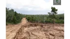 Foto 6 de Lote/Terreno à venda, 20000m² em FAZENDA SUBAUMA, Entre Rios