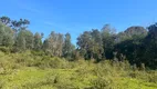 Foto 14 de Lote/Terreno à venda, 105000m² em Zona Rural, Papanduva