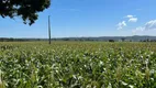 Foto 4 de Fazenda/Sítio à venda em Zona Rural, Aragoiânia