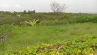 Foto 9 de Fazenda/Sítio com 5 Quartos à venda, 10000m² em Centro, Brasília