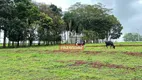 Foto 11 de Fazenda/Sítio à venda, 121000m² em Area Rural de Inhumas, Inhumas