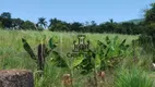 Foto 9 de Fazenda/Sítio com 3 Quartos à venda, 5000m² em Usina Três Bocas, Londrina