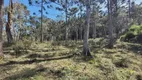 Foto 6 de Lote/Terreno à venda em Zona Rural, Urubici