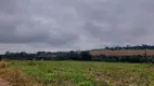 Foto 8 de Fazenda/Sítio à venda, 86000m² em Chacaras Benvenuto IV, Artur Nogueira