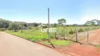 Foto 3 de Lote/Terreno à venda, 31611m² em Chácaras Maringá, Goiânia