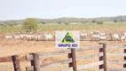 Foto 32 de Fazenda/Sítio à venda, 135000000m² em Centro, Ribeirão Cascalheira