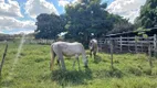 Foto 31 de Fazenda/Sítio com 3 Quartos à venda, 400000m² em Area Rural de Cidade Ocidental, Cidade Ocidental