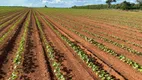 Foto 7 de Fazenda/Sítio à venda em Zona Rural, Pontes E Lacerda