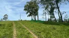 Foto 6 de Fazenda/Sítio à venda, 5000m² em Morungava, Gravataí