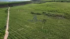 Foto 4 de Fazenda/Sítio à venda, 1960000m² em , Cardeal da Silva