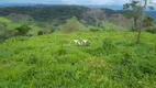 Foto 31 de Fazenda/Sítio com 4 Quartos à venda, 350m² em , Sapucaia