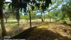 Foto 29 de Fazenda/Sítio com 3 Quartos à venda, 32000m² em Zona Rural, Silvânia