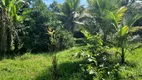 Foto 57 de Fazenda/Sítio com 3 Quartos à venda, 300m² em Manoel Ribeiro, Maricá