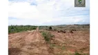 Foto 3 de Lote/Terreno à venda, 1307000m² em Subaúma, Entre Rios