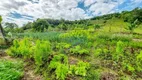 Foto 15 de Fazenda/Sítio com 3 Quartos à venda, 33000m² em Pinheirinhos, Santo Antônio da Patrulha