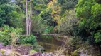 Foto 41 de Fazenda/Sítio com 5 Quartos à venda, 10500000m² em Vista Alegre, Teresópolis