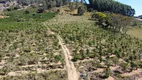 Foto 9 de Fazenda/Sítio com 2 Quartos à venda, 72000m² em Zona Rural, Jacutinga