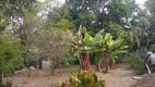 Foto 10 de Fazenda/Sítio com 4 Quartos à venda, 55000m² em Bom Sucesso, Pindamonhangaba