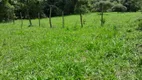 Foto 50 de Fazenda/Sítio com 2 Quartos à venda, 150000m² em Area Rural de Brazlandia, Brasília