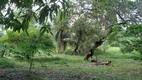 Foto 4 de Lote/Terreno à venda, 18880m² em Rio dos Cachorros, São Luís