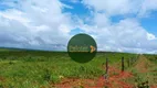 Foto 6 de Fazenda/Sítio à venda, 131030m² em Zona Rural, Nova Ubiratã