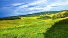 Foto 33 de Lote/Terreno à venda, 500m² em Bairro do Maranhão, Cotia