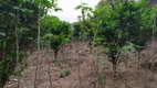 Foto 4 de Fazenda/Sítio com 2 Quartos à venda, 27000m² em Banquete, Bom Jardim