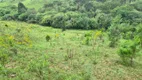 Foto 8 de Fazenda/Sítio à venda, 150000m² em Centro, São Joaquim