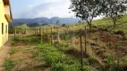 Foto 5 de Fazenda/Sítio com 4 Quartos à venda, 180m² em Marambaia, Caçapava