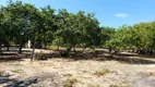 Foto 13 de Fazenda/Sítio com 4 Quartos à venda, 250m² em , Cascavel