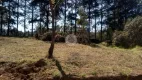 Foto 3 de Lote/Terreno à venda, 600m² em Caete Mailasqui, São Roque