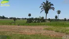 Foto 11 de Fazenda/Sítio com 3 Quartos à venda, 977000m² em Zona Rural, Nova Crixás