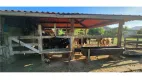 Foto 9 de Fazenda/Sítio com 2 Quartos à venda, 210m² em Ubatiba, Maricá