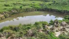 Foto 48 de Fazenda/Sítio à venda, 30000m² em Centro, Leoberto Leal