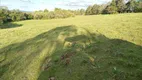 Foto 10 de Fazenda/Sítio com 3 Quartos à venda, 2600000m² em Centro, Bagé