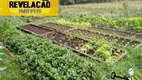 Foto 11 de Fazenda/Sítio com 7 Quartos à venda, 800m² em Borda do Campo, São José dos Pinhais