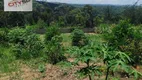 Foto 14 de Fazenda/Sítio com 1 Quarto à venda, 200m² em Lagoa, Itapecerica da Serra