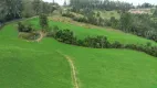 Foto 16 de Fazenda/Sítio com 3 Quartos à venda, 205000m² em Eugênio Schneider, Rio do Sul