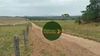 Foto 25 de Fazenda/Sítio à venda, 20812000m² em Zona Rural, Rubiataba