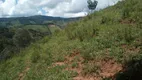 Foto 7 de Fazenda/Sítio à venda, 260000m² em Zona Rural, Delfim Moreira