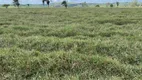 Foto 6 de Fazenda/Sítio à venda, 212000m² em Area Rural de Garanhuns, Garanhuns