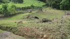 Foto 6 de Fazenda/Sítio com 3 Quartos à venda, 250m² em Maestra, Caxias do Sul