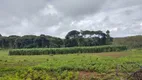 Foto 28 de Fazenda/Sítio com 2 Quartos à venda, 430000m² em Centro, Itaguara