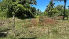 Foto 3 de Lote/Terreno à venda, 1500m² em Olivença, Ilhéus